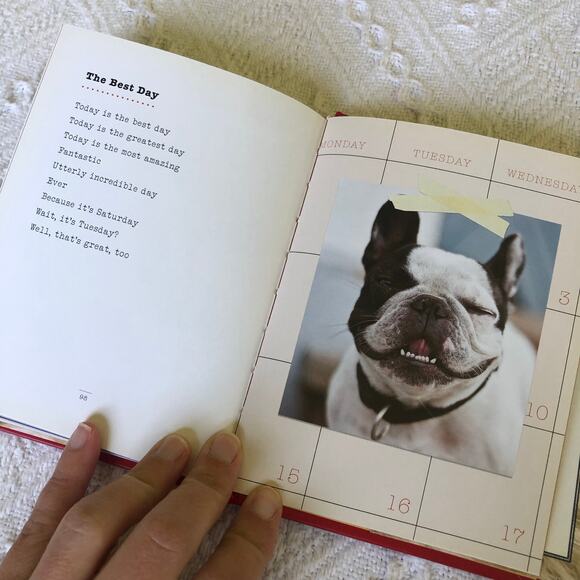 I Could Chew on This by Marciuliano, Francesco NEW Hardcover Gift Dog Lover - Picture 6 of 8